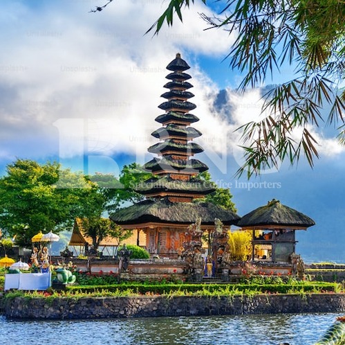 Indonesia Bali  G1 &#039;Blue Moon&#039; 인도네시아 발리 블루문 G1